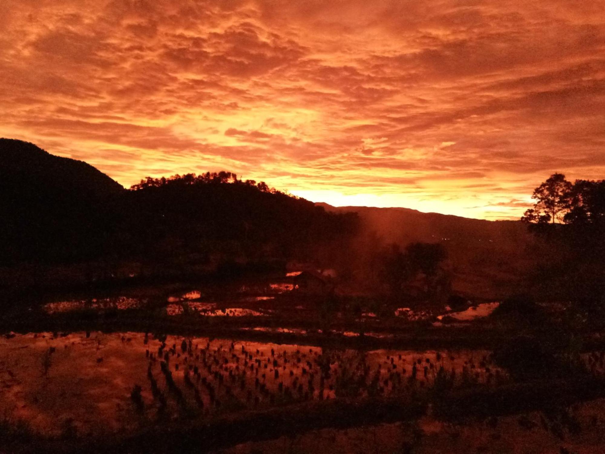 De Salak Homestay Bogor Zewnętrze zdjęcie
