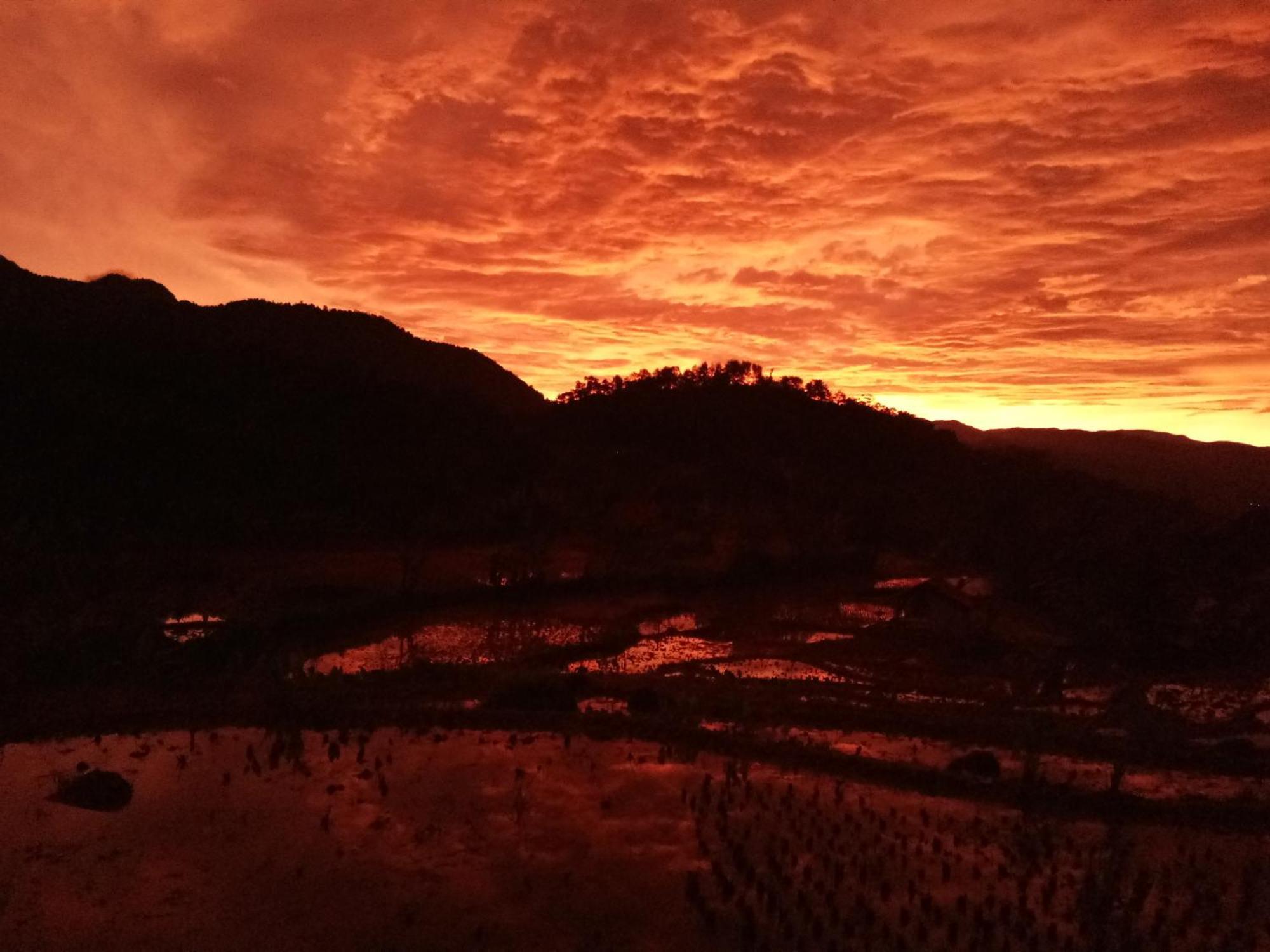 De Salak Homestay Bogor Zewnętrze zdjęcie