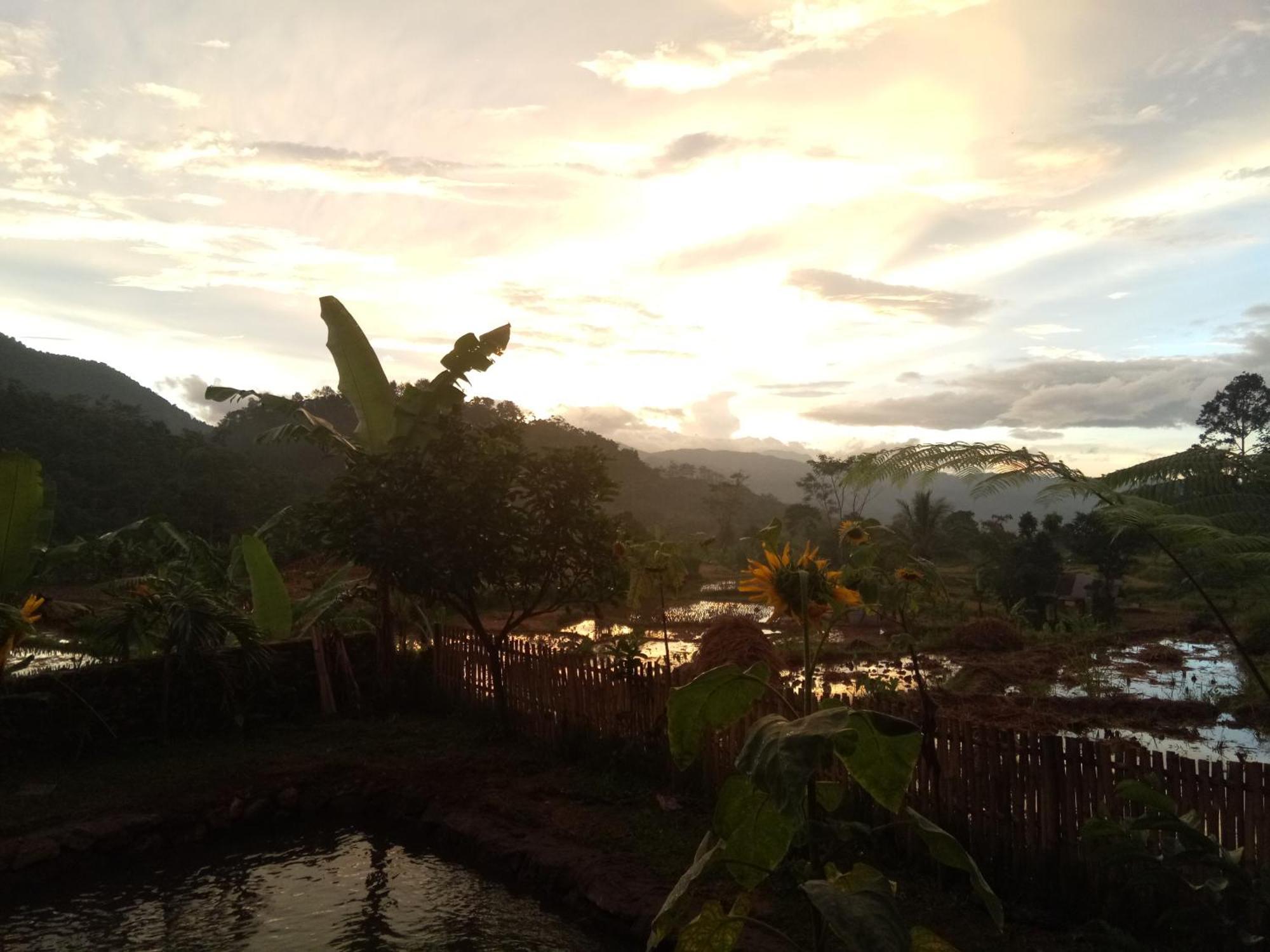 De Salak Homestay Bogor Zewnętrze zdjęcie
