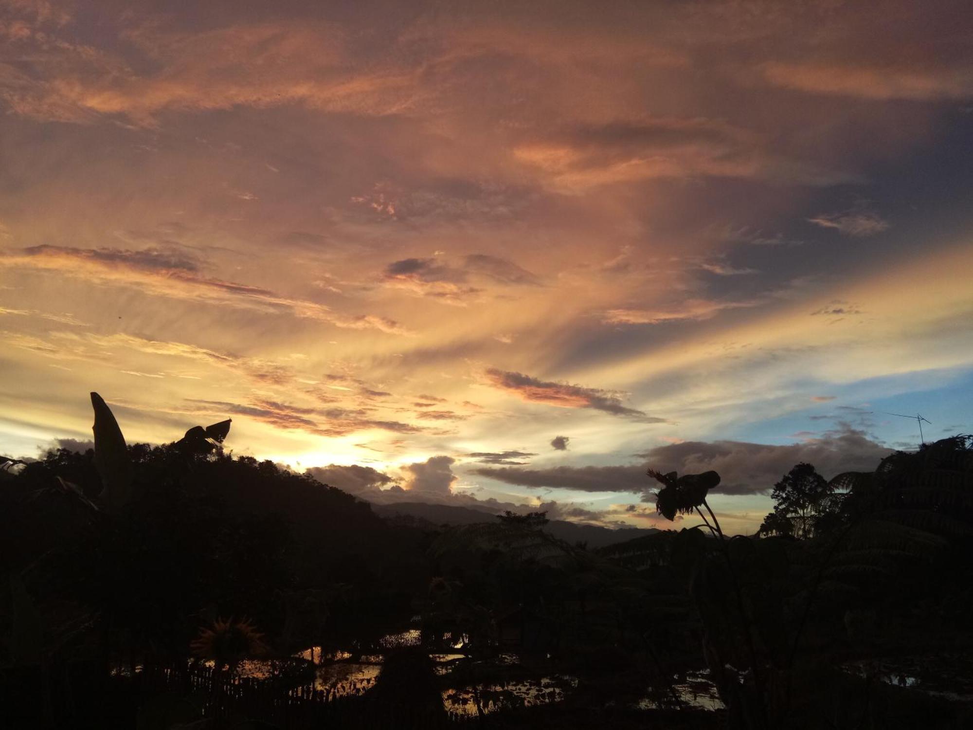 De Salak Homestay Bogor Zewnętrze zdjęcie