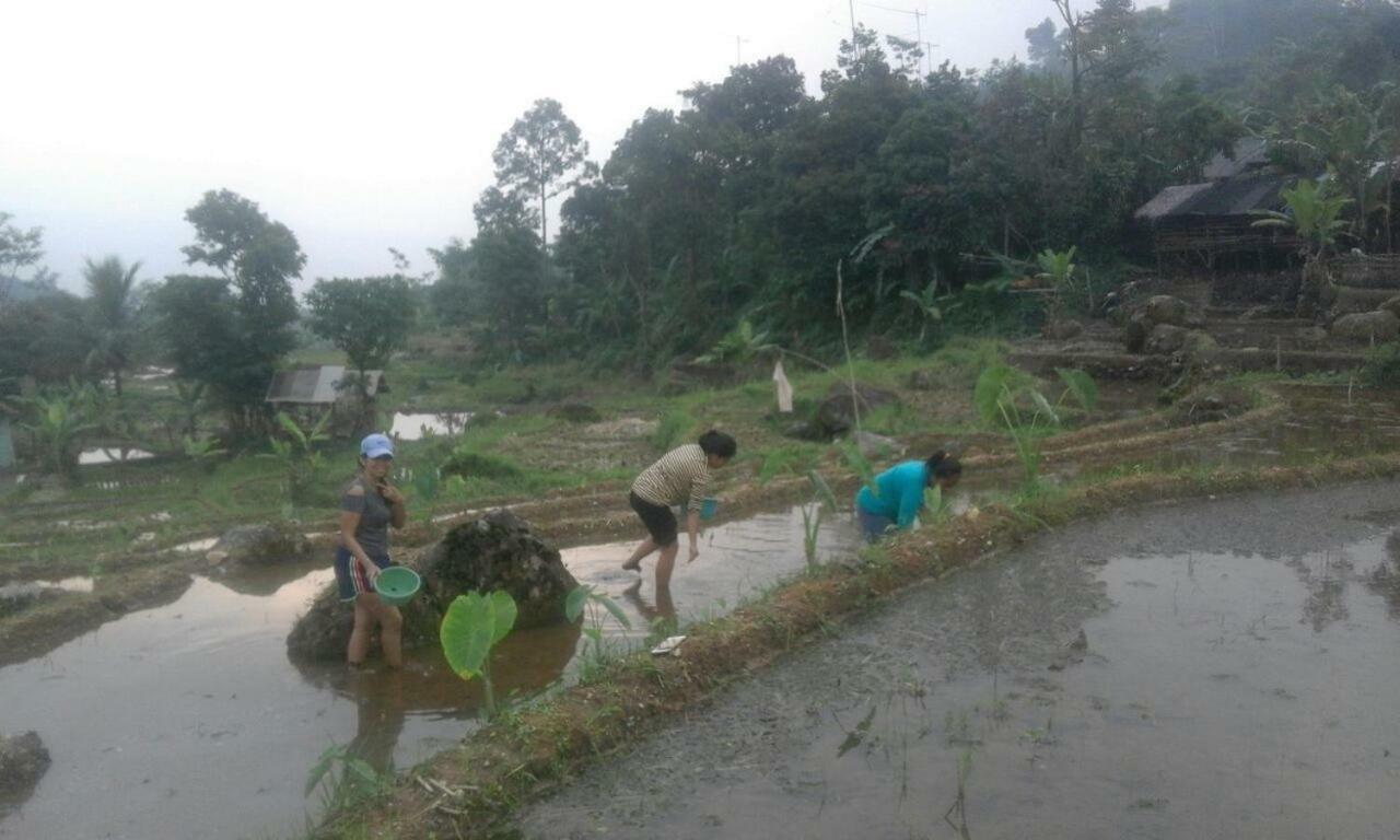 De Salak Homestay Bogor Zewnętrze zdjęcie