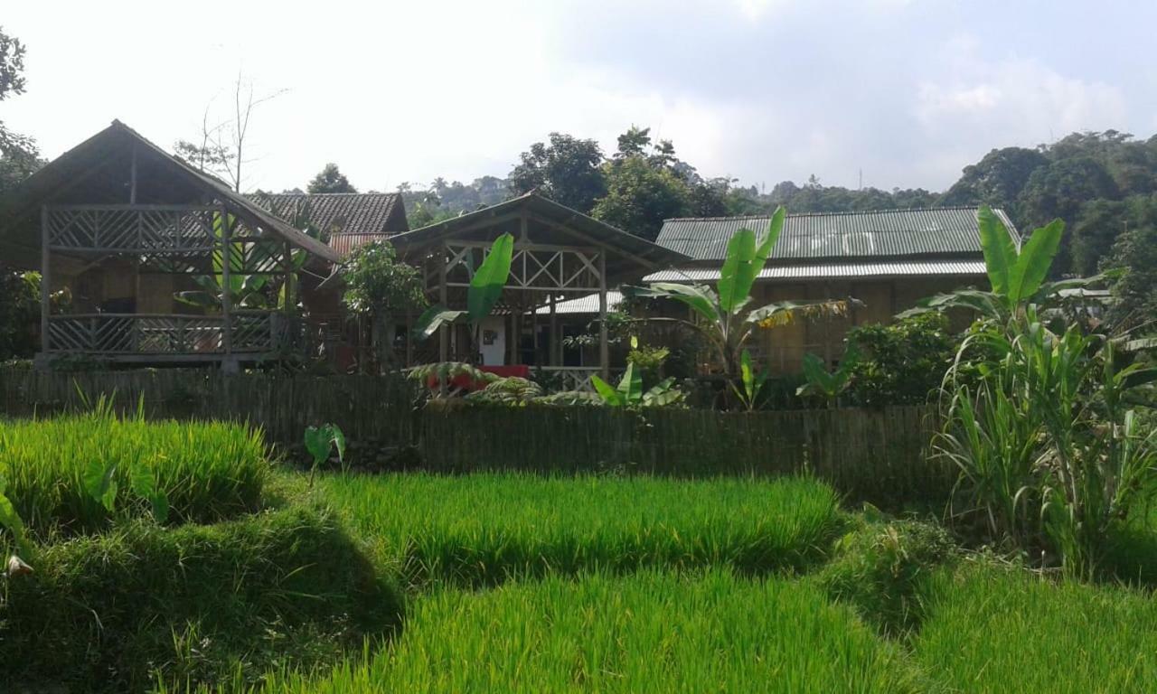 De Salak Homestay Bogor Zewnętrze zdjęcie