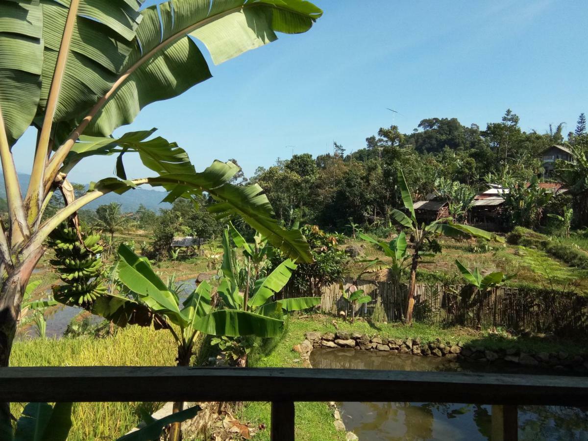 De Salak Homestay Bogor Zewnętrze zdjęcie