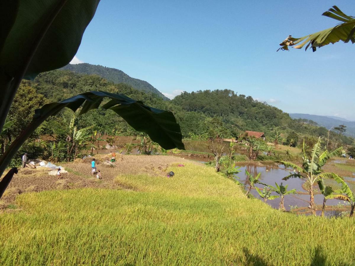 De Salak Homestay Bogor Zewnętrze zdjęcie