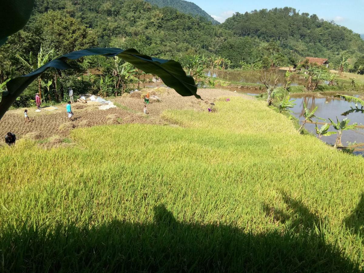 De Salak Homestay Bogor Zewnętrze zdjęcie